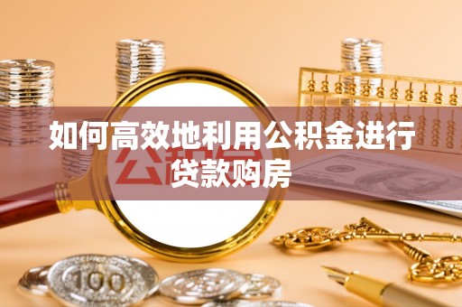 支付如何高效地利用公积金进行贷款购房